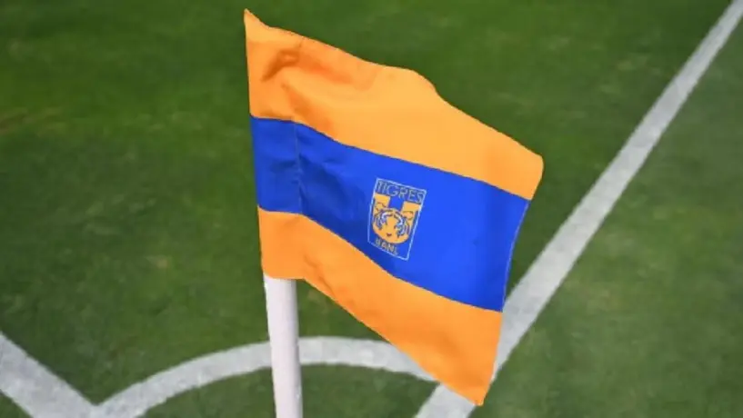 Tigres anuncia castigo tras hechos violentos en el partido ante América