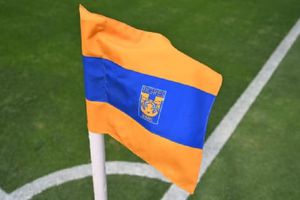 Tigres anuncia castigo tras hechos violentos en el partido ante América