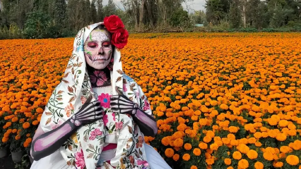 Ruta del Cempasúchil 2025: Así celebran Día de Muertos en Xochimilco
