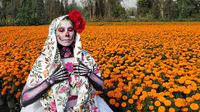 Ruta del Cempasúchil 2025: Así celebran Día de Muertos en Xochimilco