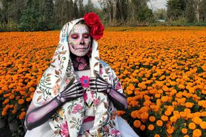Ruta del Cempasúchil 2025: Así celebran Día de Muertos en Xochimilco