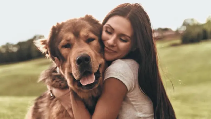 Día Mundial del Perro: origen y significado de la celebración