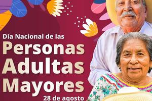Día del Adulto Mayor: Secretaria Bienestar reafirma que este sector es el centro de su política social