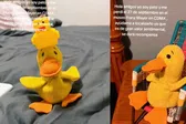 Pato, el peluche viral, desaparece en el Museo Franz Mayer: recompensan su regreso