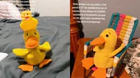 Pato, el peluche viral, desaparece en el Museo Franz Mayer: recompensan su regreso