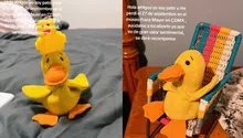 Pato, el peluche viral, desaparece en el Museo Franz Mayer: recompensan su regreso