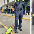 Policías de tránsito de la CDMX rescatan y adoptan a “Aquiles”, un cachorrito maltratado