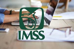 ¿Cómo obtener tu constancia de semanas cotizadas del IMSS en 2025?