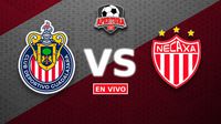 Chivas vs Necaxa EN VIVO Liga MX Apertura 25 Jornada 10