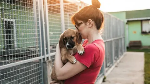 Día Mundial del Perro Adoptado: Cómo encontrar a tu nuevo compañero de vida