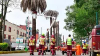 ¿Dónde están las palmeras enfermas de CDMX que sustituirán?