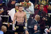 ¿América y Chivas se enfrentarán contra Canelo por el rating? Clásico Nacional el mismo día de la pelea