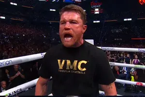 ¿Netflix presentó problemas durante el Canelo Álvarez vs Terence Crawford?