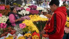 Flores amarillas 21 de septiembre: ¿Cuánto cuestan en CDMX?