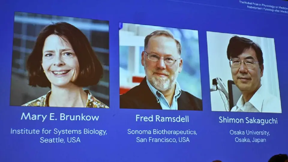 Nobel de Medicina 2025: Brunkow, Ramsdell y Sakaguchi descifraron el “freno” del sistema inmunológico