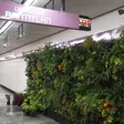 Así se verá el Metro CDMX con plantas y árboles dentro de sus instalaciones