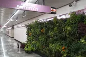 Así se verá el Metro CDMX con plantas y árboles dentro de sus instalaciones