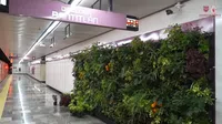 Así se verá el Metro CDMX con plantas y árboles dentro de sus instalaciones