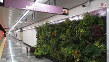 Así se verá el Metro CDMX con plantas y árboles dentro de sus instalaciones