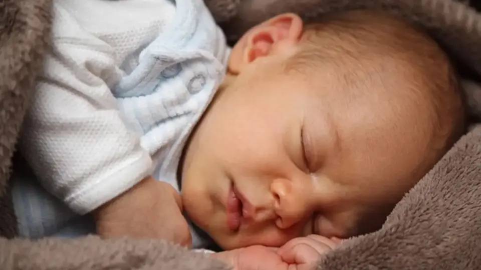 Nacimientos en México siguen en picada: estos son los estados con más y menos bebés