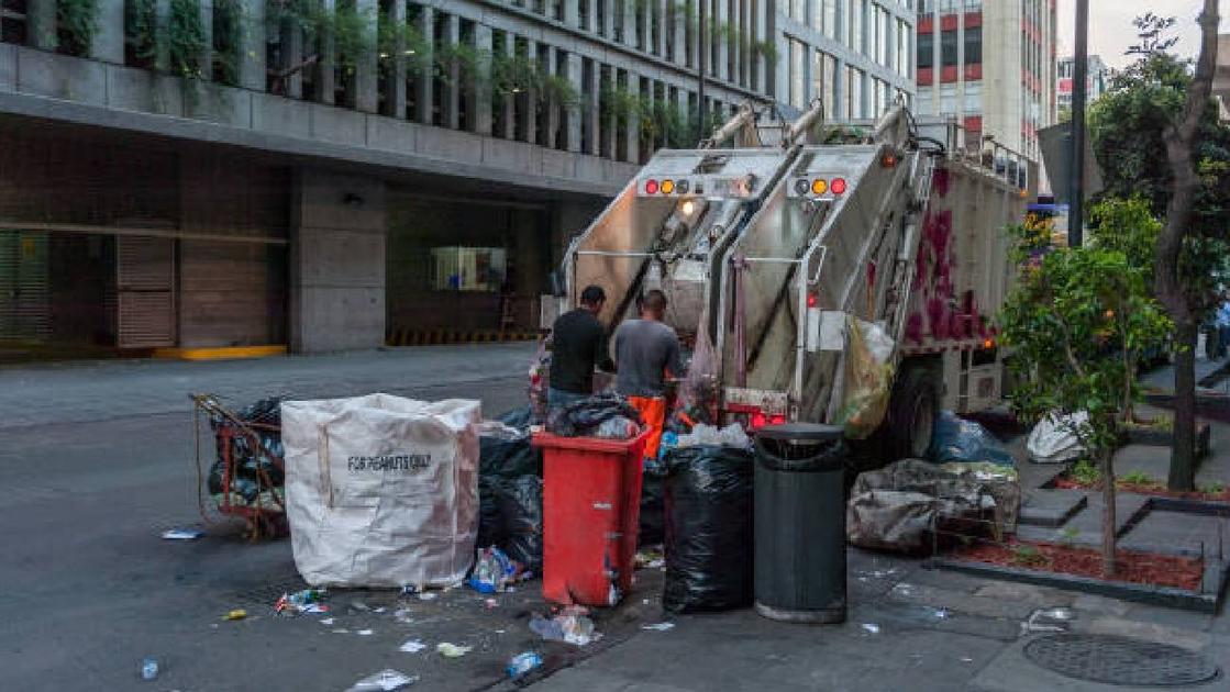 Estas son las multas en CDMX por tirar basura sin separarla en orgánica ...