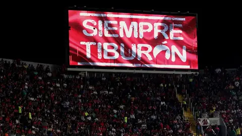 ¿Regresan los Tiburones Rojos de Veracruz? Fidel Kuri se reunió con Ángel Reyna y Carlos Reinoso