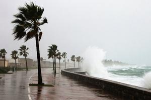 ¡Toma precauciones! Ciclón Lorena podría impactar como huracán en México en estas fechas