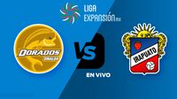 Dorados vs Irapuato EN VIVO Liga de Expansión Jornada 6 Apertura 2025