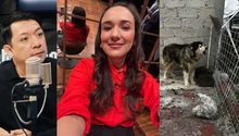 ¿Periodistas a la cárcel por salvar a perro abandonado en Azcapotzalco? Esto se sabe del caso de Apolo