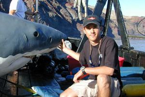 Tiburón ataca a biólogo mexicano Mauricio Hoyos; le mordió la cabeza y es reportado grave