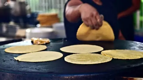 ¿Eres experto en tortillas? Participa en este concurso y gana hasta $5,000