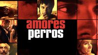 ‘Amores Perros’ en vinilo: edición remasterizada, preventa abierta y formato triple de colección