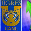 Tigres suma otro refuerzo, con pasado en Monterrey, para el Apertura 2025