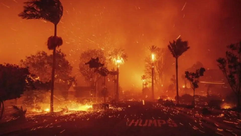 Arrestan a un hombre por provocar el mortal incendio de Pacific Palisades en California