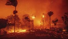 Arrestan a un hombre por provocar el mortal incendio de Pacific Palisades en California