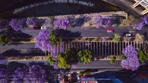 Hoy No Circula: ¿Qué autos NO circulan el 06 de octubre de 2025 en CDMX y EDOMEX?