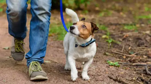 ¿Pasear perritos para pagar multas? Así funciona el sistema de fotocívicas en CDMX