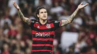 Flamengo, con golazo y hat-trick de Pedro incluido, logra goleada histórica ante Vitoria