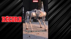 ¡CUANTA INNOVACIÓN!, EN la Ciudad de Monterrey presentaron estos implementos de seguridad de cara al Mundial 2026