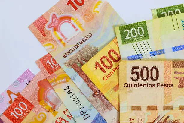 La beca puede utilizarse en establecimientos autorizados para compras escolares. / iStock