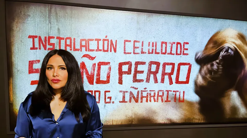 Vanessa Bauche denunció al actor en 2020, justo cuando estaban grabando una serie para Netflix / Especial