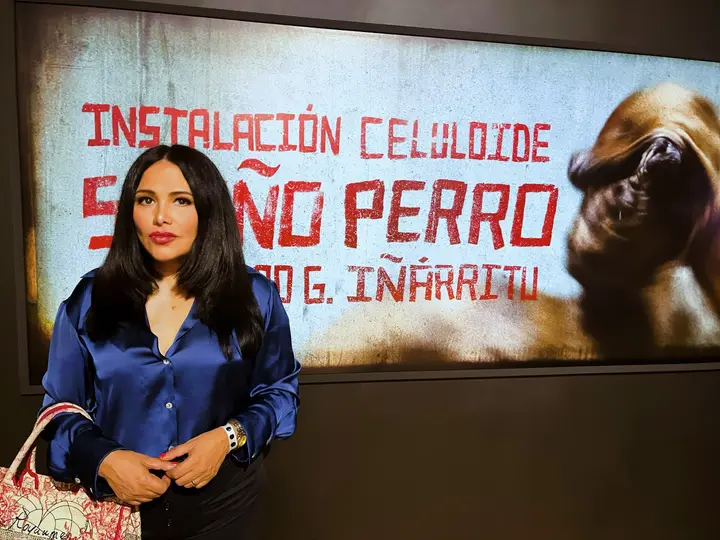 Vanessa Bauche denunció al actor en 2020, justo cuando estaban grabando una serie para Netflix / Especial