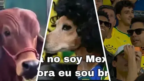 Los mejores memes del Brasil contra Marruecos
