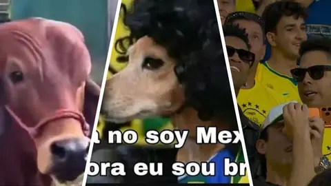 Los mejores memes del Brasil contra Marruecos