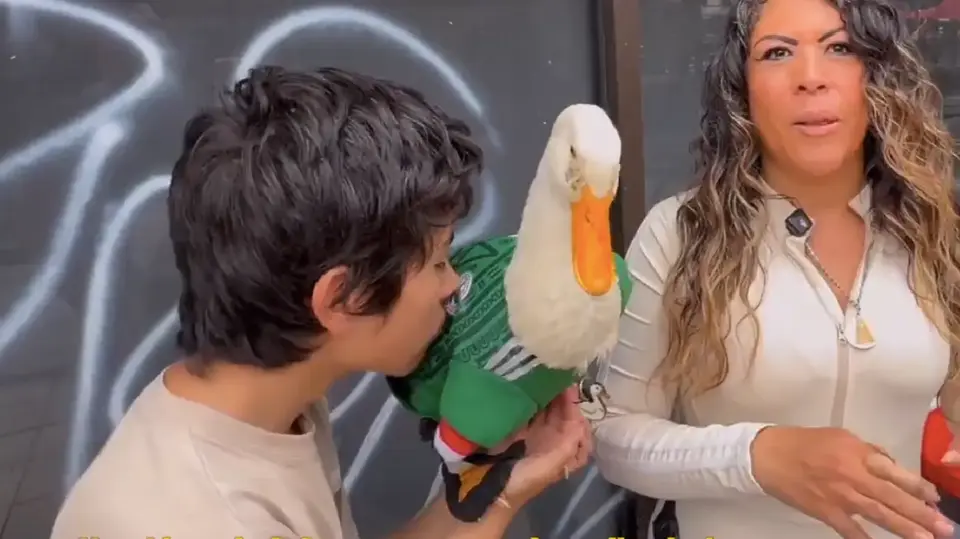 Pato Merlin y su familia | CAPTURA DE PANTALLA