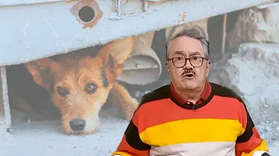 Marcas retiran su publicidad de "Ventaneando" tras los comentarios de Pedro Sola sobre los perros