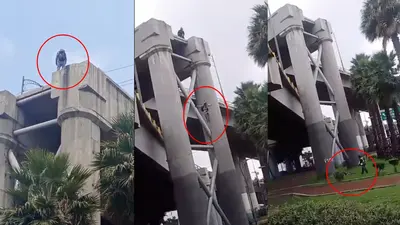 VIDEO: Hombre cae de puente vehicular en CDMX… ¡y sobrevive!