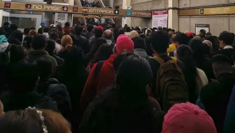 Caos en la Línea 12 del Metro: largas filas saturan estaciones por servicio parcial