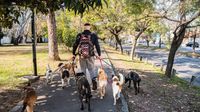 Paseador de perros en CDMX asegura que gana 60 mil pesos al mes