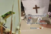 Niña organiza funeral completo para una lagartija y enternece a millones en redes sociales